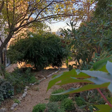 Damjan Διαμέρισμα